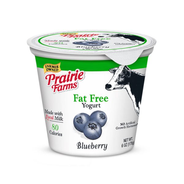 Blueberry Yogurt